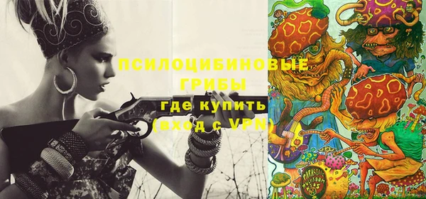 мяу мяу мука Абаза
