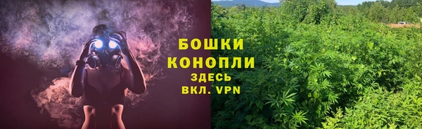 мяу мяу мука Абаза