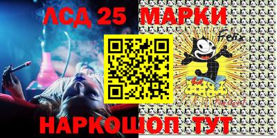 индика Бердск