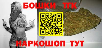 индика Бердск