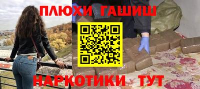 индика Бердск
