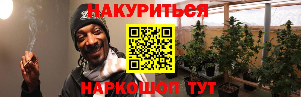 Моршанск  Шишки марихуана план  Вход с VPN  Конопля ГИДРОПОН  Бошки марихуана MAZAR 